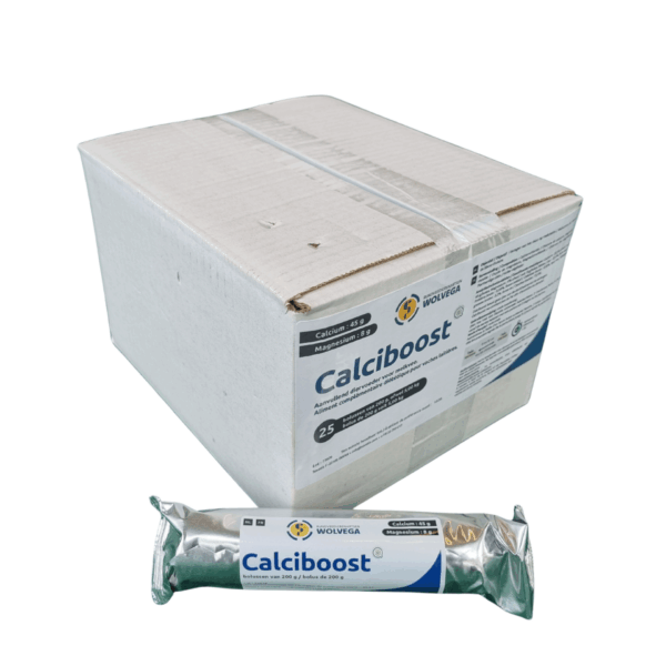 Calciboost 25st
