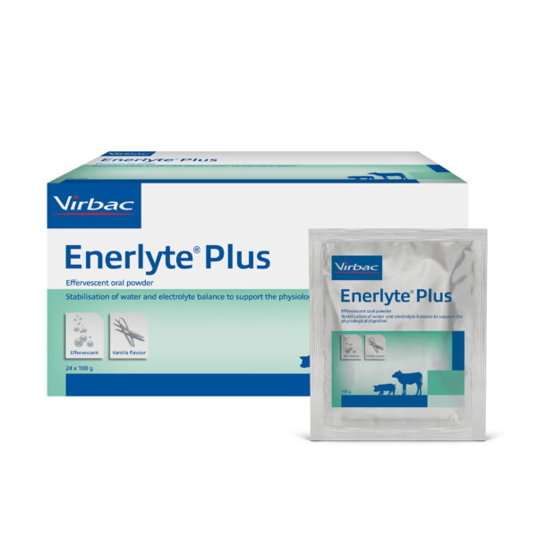 Enerlyte Plus